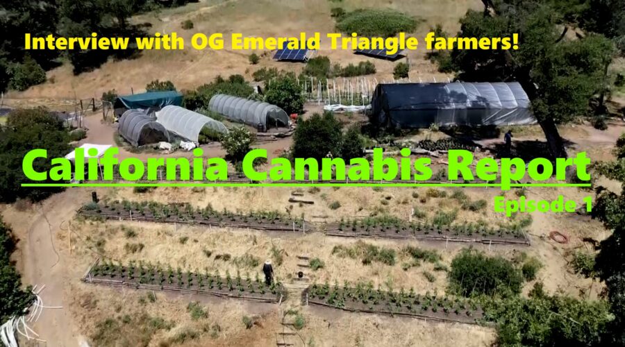 California Cannabis Report – Episode 1