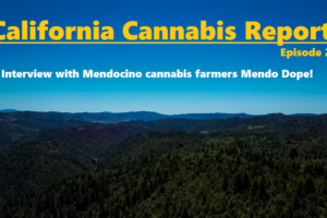 California Cannabis Report – Episode 2
