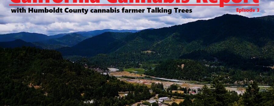 California Cannabis Report – Episode 3