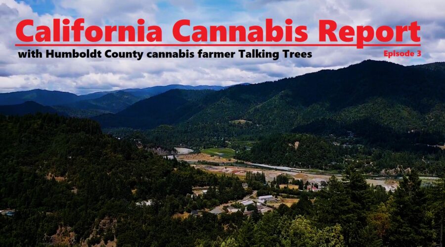 California Cannabis Report – Episode 3