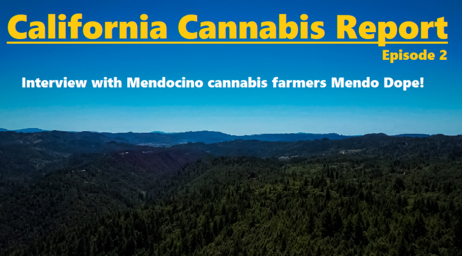California Cannabis Report – Episode 2