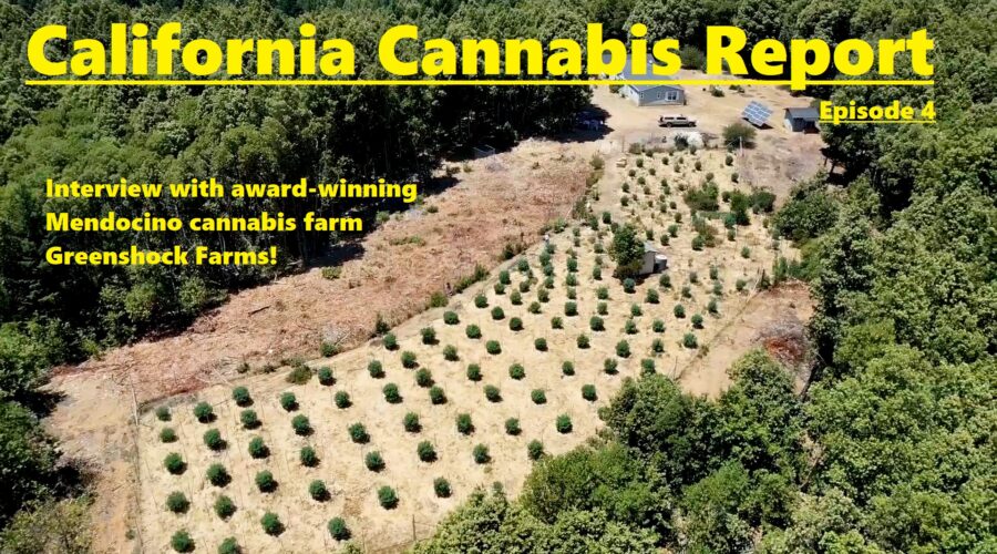 California Cannabis Report – Episode 4
