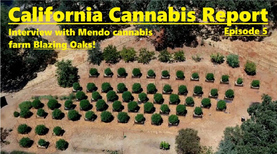 California Cannabis Report – Episode 5
