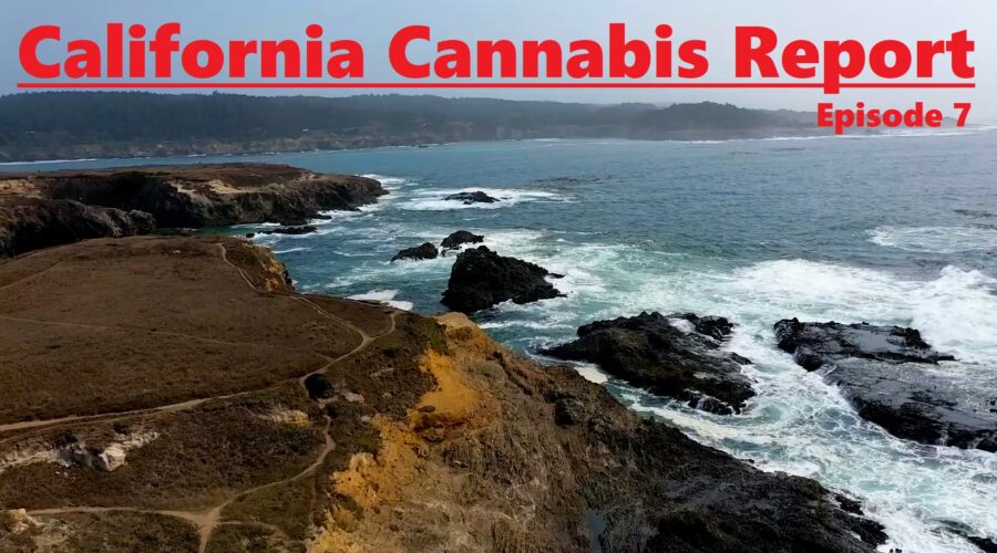 California Cannabis Report – Episode 7