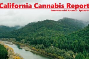 California Cannabis Report – Episode 8
