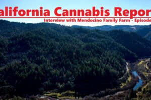 California Cannabis Report – Episode 10