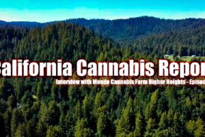 California Cannabis Report – Episode 11