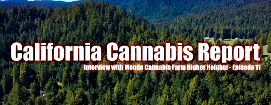 California Cannabis Report – Episode 11