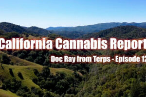 California Cannabis Report – Episode 12 – Doc Ray from Terps