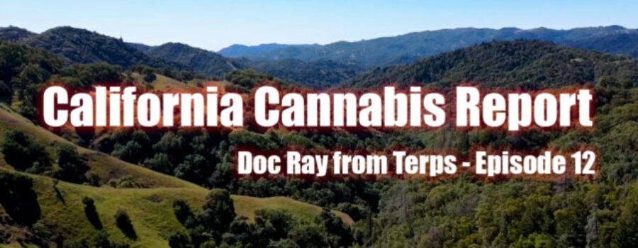 California Cannabis Report – Episode 12 – Doc Ray from Terps