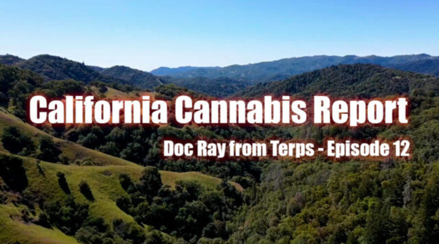California Cannabis Report – Episode 12 – Doc Ray from Terps
