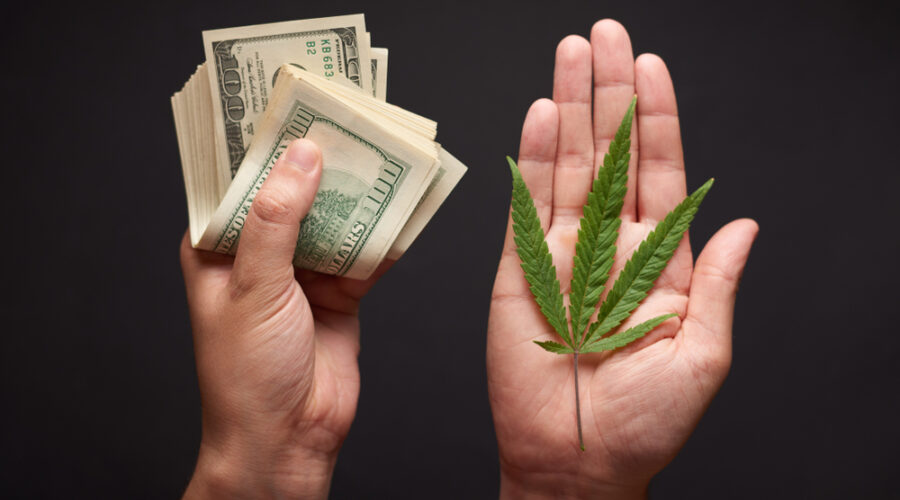 Preparing a Cannabis Company for Sale – A Checklist