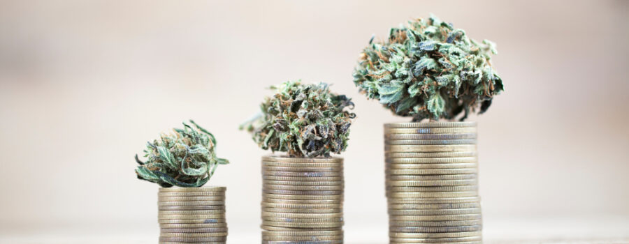 Financing Instruments for Cannabis Companies – Pros and Cons