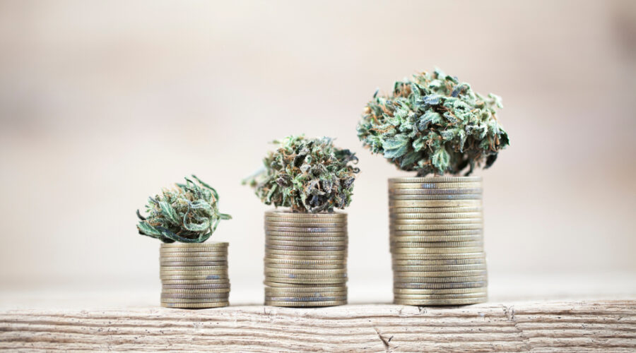 Financing Instruments for Cannabis Companies – Pros and Cons